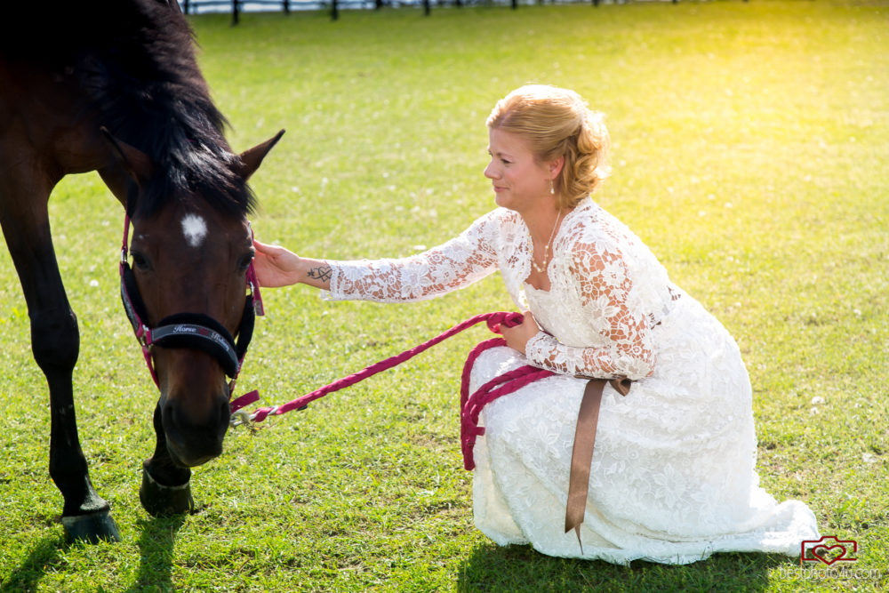 Csilla és Attila esküvői fotói a sóskúti lovasklubban