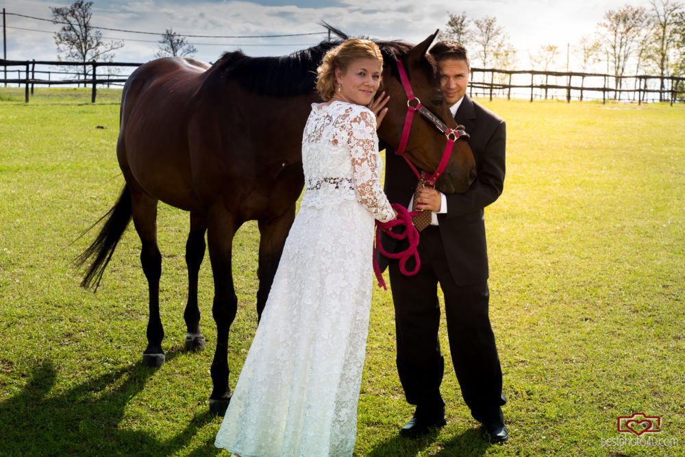 Csilla és Attila esküvői fotói a sóskúti lovasklubban
