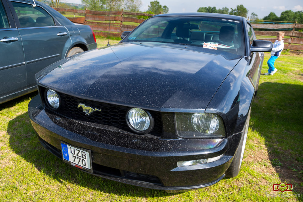 AmCar Vol.9 Veresegyház Medveotthon 2017